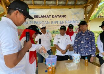 Kebun Pangan Jupiter Rahayu, Bukti Serius SEI Sukseskan Program Ketahanan Pangan