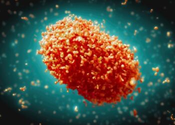 Kemenkes Laporan 88 Kasus Cacar Monyet di Indonesia, Siapkan 4.450 Dosis Vaksin