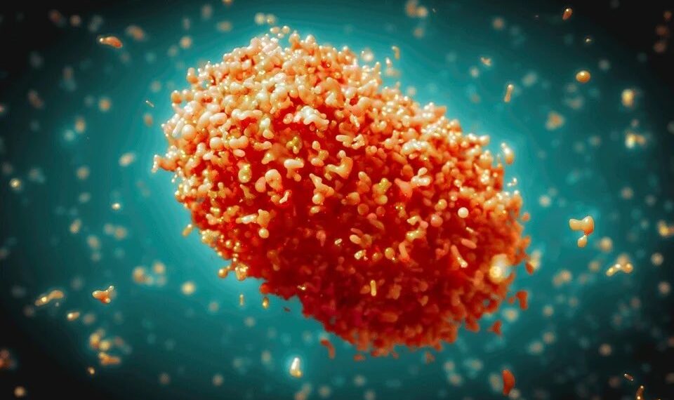 Kemenkes Laporan 88 Kasus Cacar Monyet di Indonesia, Siapkan 4.450 Dosis Vaksin