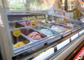 Sensasi Unik Es Krim Tunggal, Nikmati Pengalaman Baru yang Menyegarkan