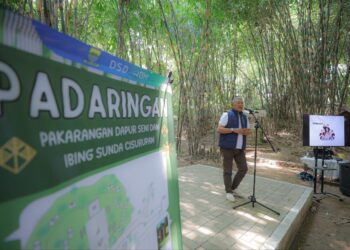 Pemkot Bakal Hadirkan Destinasi Wisata Terintegrasi di Wilayah Bandung Timur