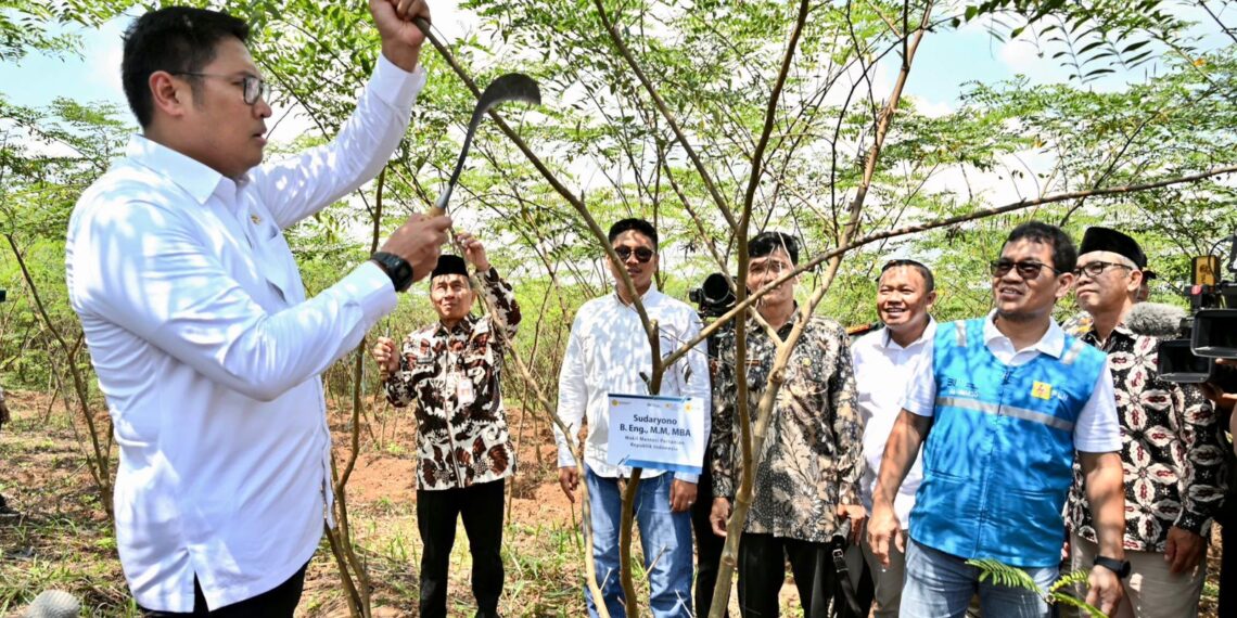 Terus Kembangkan Bahan Co-Firing Biomassa, PLN Bersama Kementan Luncurkan Model Pertanian Terpadu