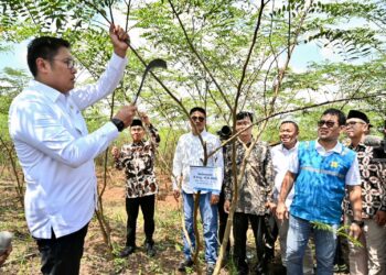 Terus Kembangkan Bahan Co-Firing Biomassa, PLN Bersama Kementan Luncurkan Model Pertanian Terpadu