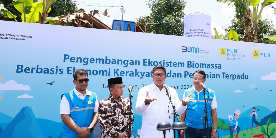 Ubah Lahan Kritis Jadi Hijau dan Produktif, PLN Kembangkan Ekosistem Biomassa Berbasis Pertanian Terpadu