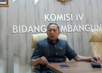 Daddy Rohanady, Ingatkan Tantangan Besar Pasangan Dedi-Erwan Usai Menang Pilgub