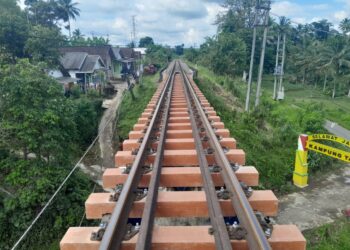 Ramah Lingkungan, Berikut 3 Keunggulan Bantalan Sintetis