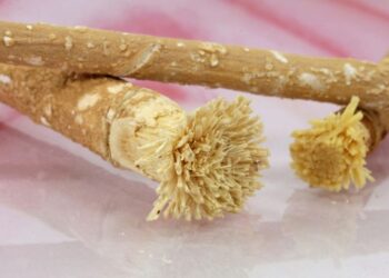 Manfaat Siwak Untuk Kesehatan Gigi