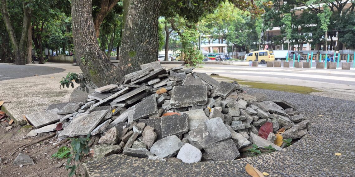Kondisi Terkini Taman Tegallega Usai Tren Koin Jagat