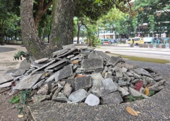 Kondisi Terkini Taman Tegallega Usai Tren Koin Jagat