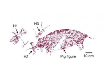 Lukisan Tertua di Dunia Ditemukan di Indonesia