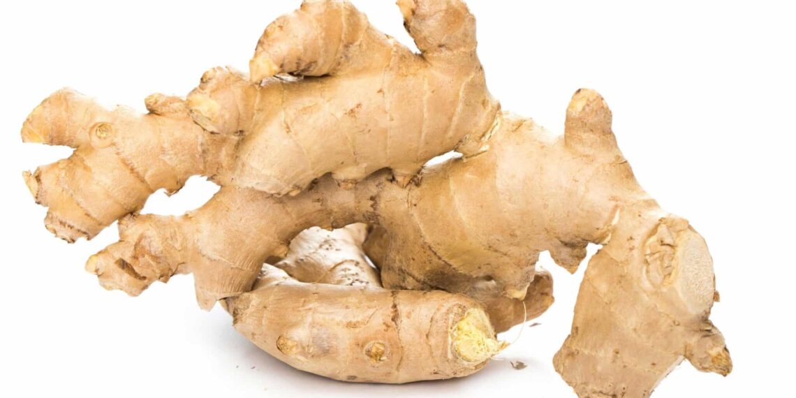Manfaat Kesehatan Jahe: Rempah yang Berkhasiat