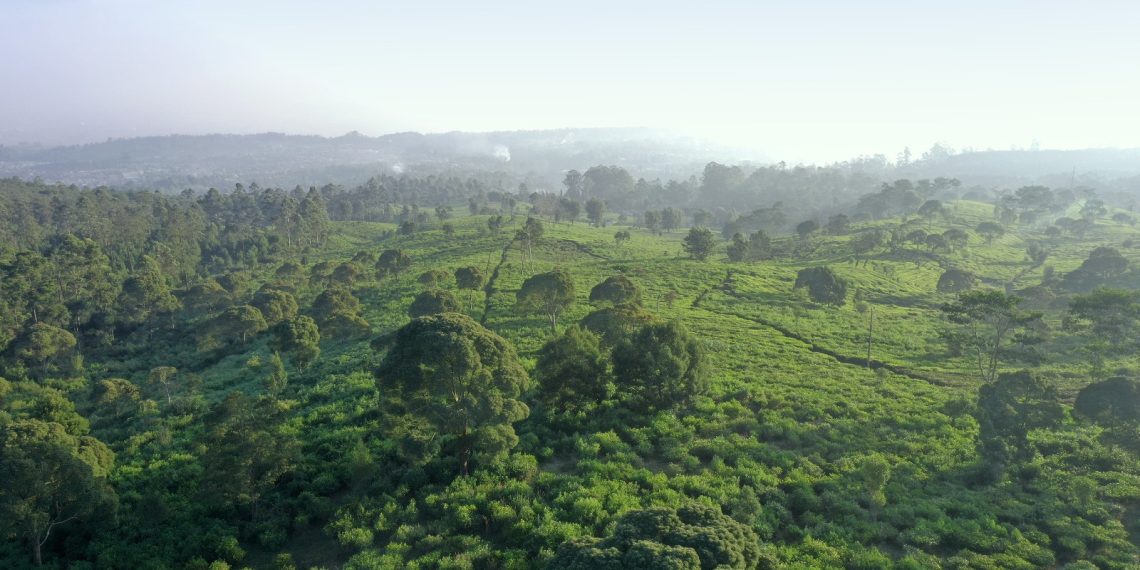 Pembangunan Eiger Camp Bukan di Kaki Gunung Tangkubanparahu, Ini Penjelasannya