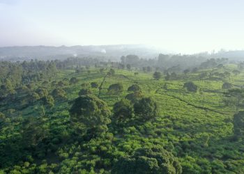 Pembangunan Eiger Camp Bukan di Kaki Gunung Tangkubanparahu, Ini Penjelasannya