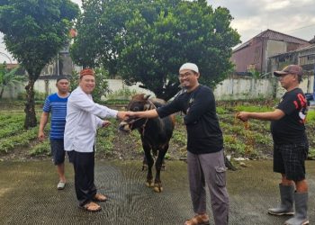 Daging Qurban di Garis Depan Perang Melawan Stunting