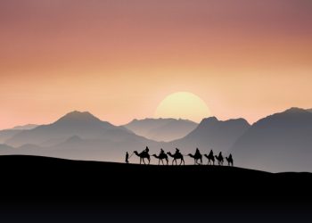 Ketulusan Ukhuwah: Kisah Nyawa Dibayar dengan Amanah