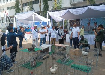 Pembukaan Kontes Ayam Hias dan Reptil Nasional Wali Kota Cimahi 2025