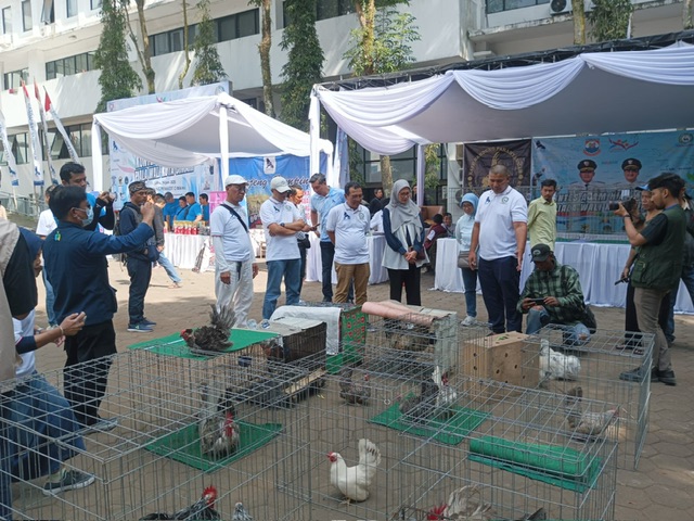 Pembukaan Kontes Ayam Hias dan Reptil Nasional Wali Kota Cimahi 2025