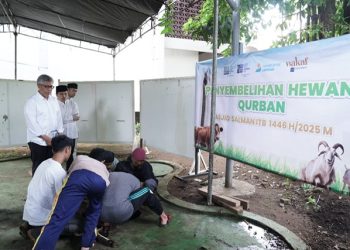 ITB Bersama Masjid Salman dan Rumah Amal Usung Kurban Berdampak, Angkat Isu Gizi dan Stunting
