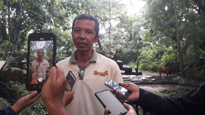 Prahara Dualisme Kepengurusan Kebun Bunatang Bandung, Begini Kronologisnya
