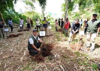 Dari Bunga Papan ke Akar Pohon, SEI Menguatkan Lanskap Bandung Timur